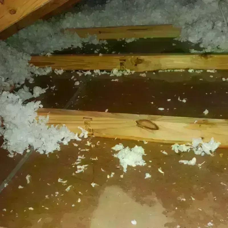 Attic Water Damage in Starke County, IN